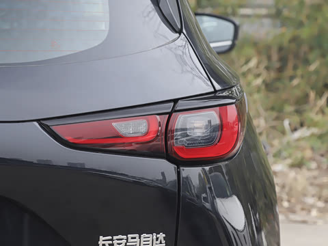 2025�� 2.0L �Զ�����������