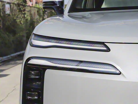 2025�� ������