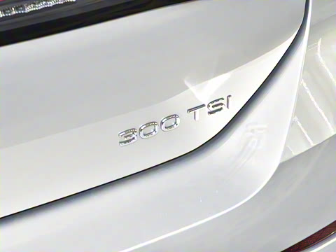 2026�� L 300TSI DSG ������