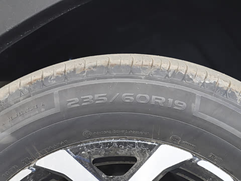 2025�� 147km ����̽��