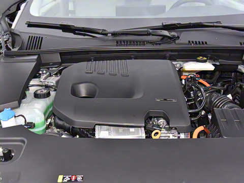 2026�� ������������Plus