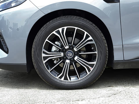 2026�� DM-i 320KM׿Խ��