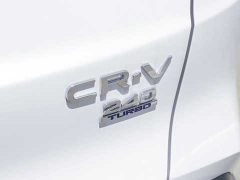 2026�� ȫ��30����ҫ�� 1.5T ��������5����