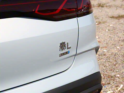 2026�� DM-i 128KM������