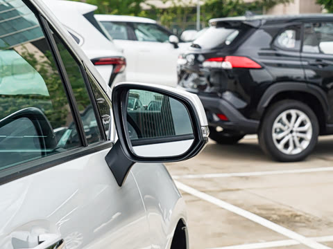 2026�� 2.5L ˫������������