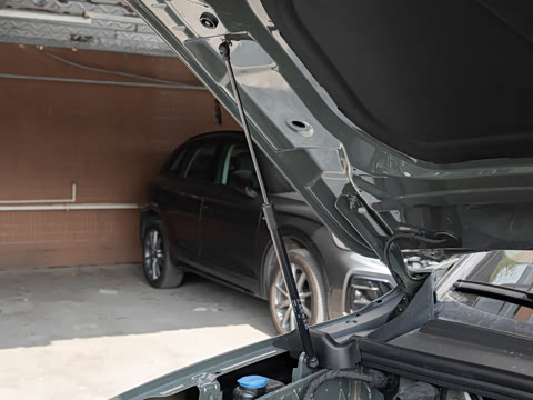 2026�� �ǻ�������