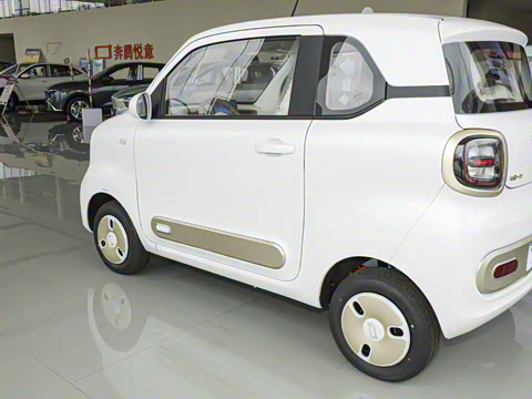 2026�� 222km ������