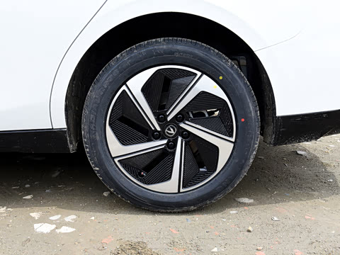 2026�� 1.5L �������� ������