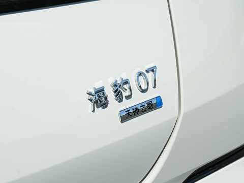 2026�� DM-i 1.5T 135km �����