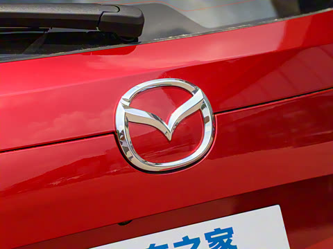 2025�� 2.0L �Զ���������Pro