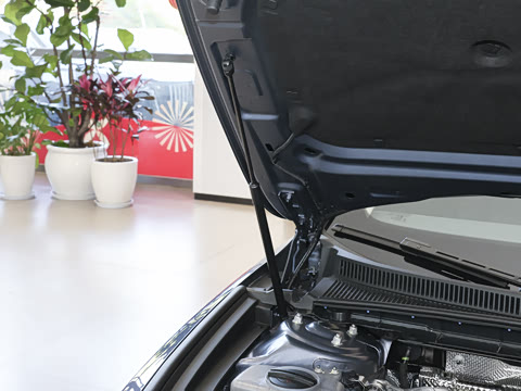 2026�� 2.0T �Զ��쳩Pro��