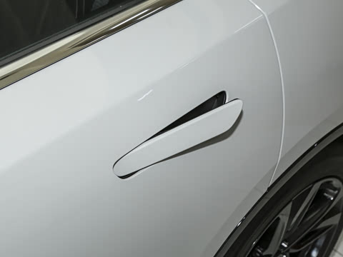 2025�� ����600�����˶���