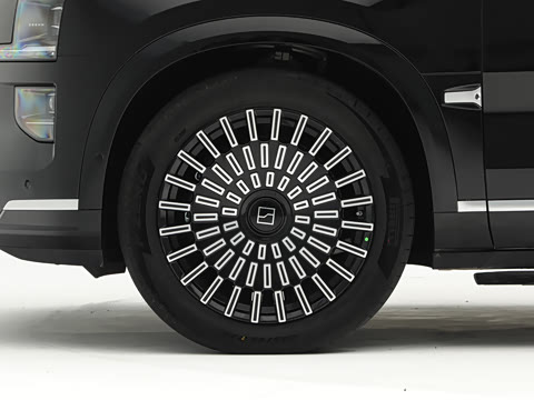 2025�� Max�� 55kWh