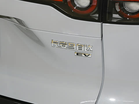 2025�� ����600�����˶���