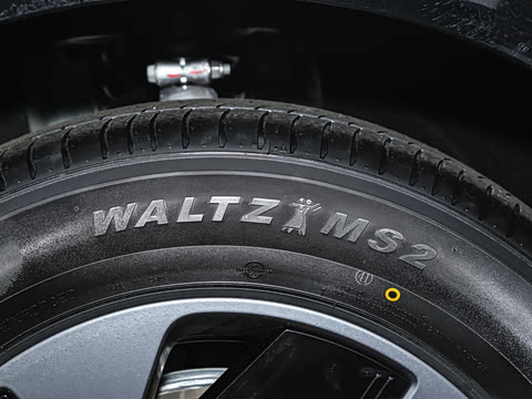 2026�� ���� 602 Max �콢��