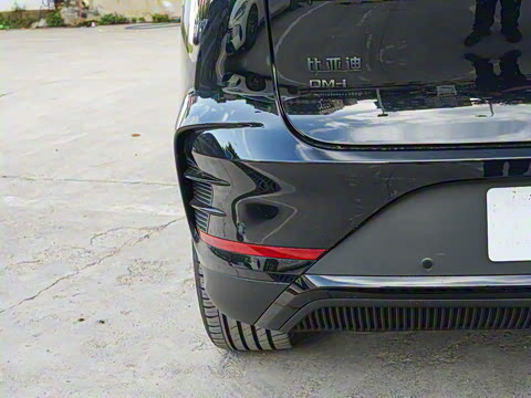 2025�� �Ǽݰ� DM-i 175KM �����