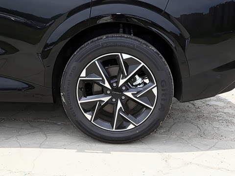 2026�� 230��������Max