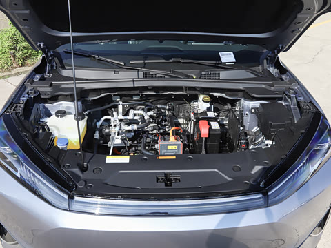 2026�� 530Խ����