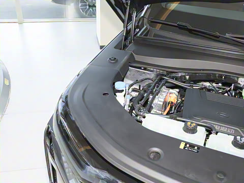 2025�� 205km Pro+��