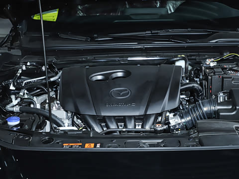 2025�� 2.0L �Զ���ҫ��