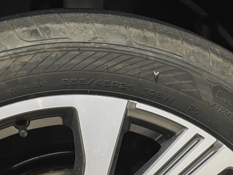 2026�� quattro Ǭ���Ǽݰ�