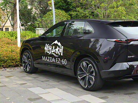 2025�� ����600 Max