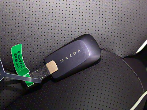 2025�� ����600 Max