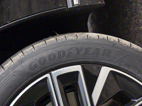 2026�� ������������Plus