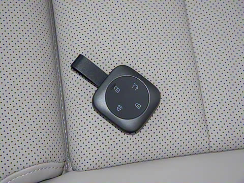 2026�� ������������Plus