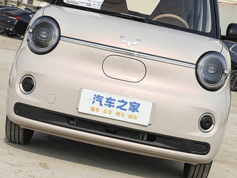 2026�� ����� 205km ���׿�