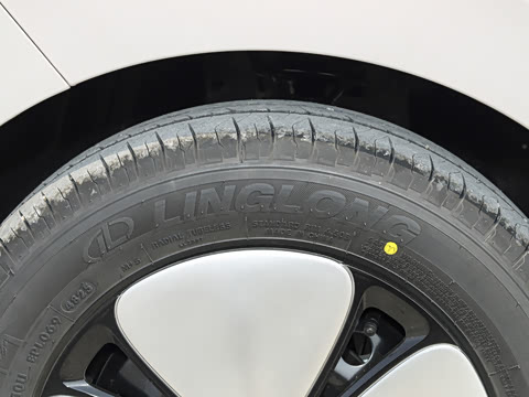 2026�� ����� 205km ���׿�