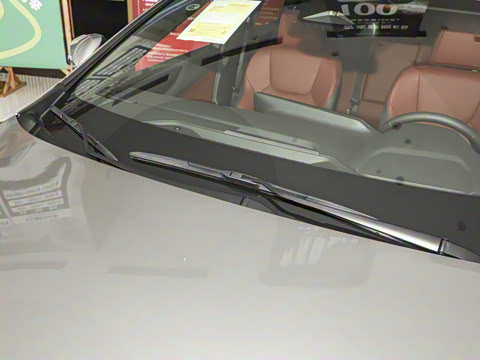 2025�� 350h JOY X