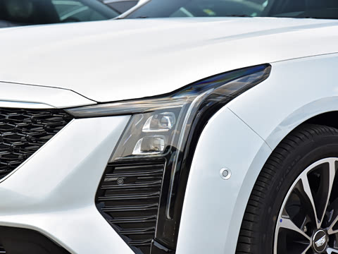 2025�� 28T �����˶���
