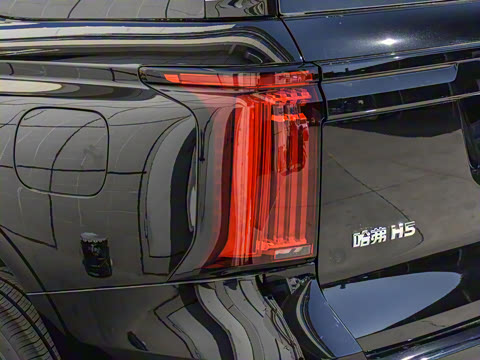 2025�� 2.0T�Զ������촴�� ����