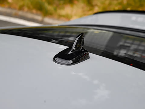 2024�� RS 5 2.9T Coupe ȼ���