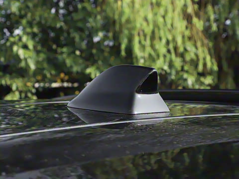 2025�� FREE+ ����Ǭ����