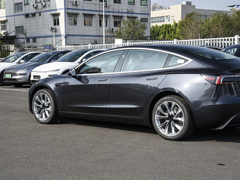 2025�� �Ŀ� ����������������