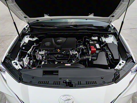 2026�� 2.0GVP ������