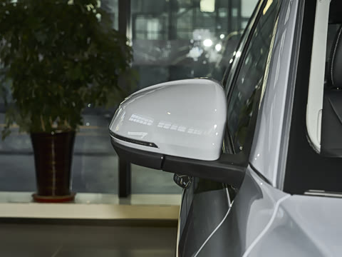 2026�� 280TSI �Զ����а�