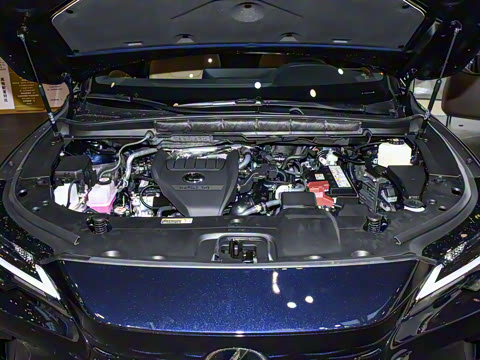 2026�� 300 ����������