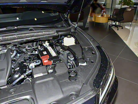 2026�� 300 ����������