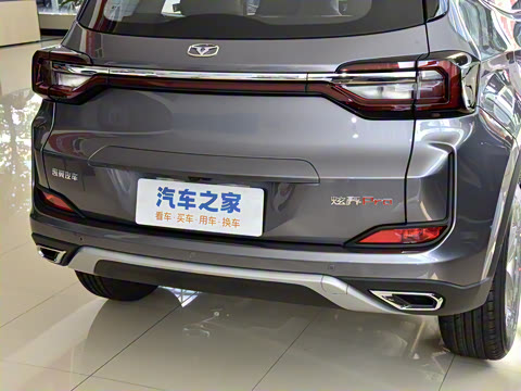 2025�� 1.5L �ֶ���Խ��