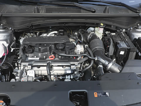 2026�� 1.5T ����������