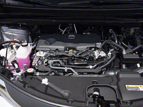 2026�� 2.5L ˫���������ʰ�