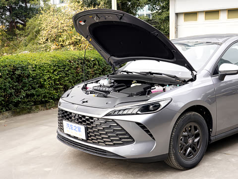 2026�� DM-i 128KM��ȡ��