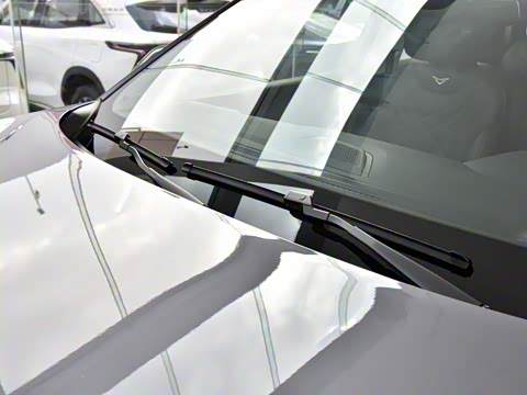 2025�� 1.5T ��ԭ������ 7��