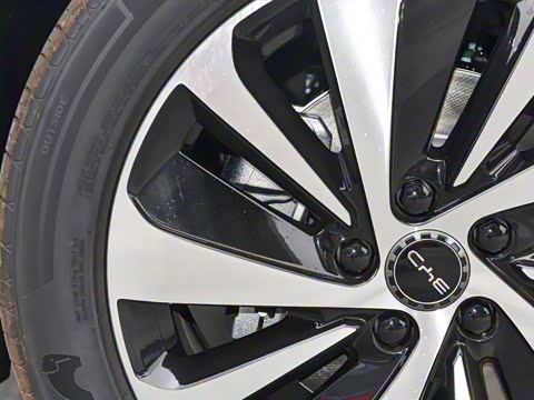 2025�� DM-i 121�캽��