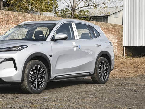 2026�� 135km �캽��