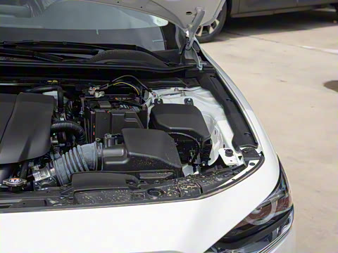 2025�� 2.0L �Զ������