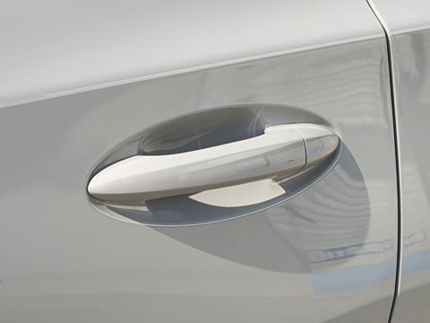 2026�� 290TGDI DCT������ 5��